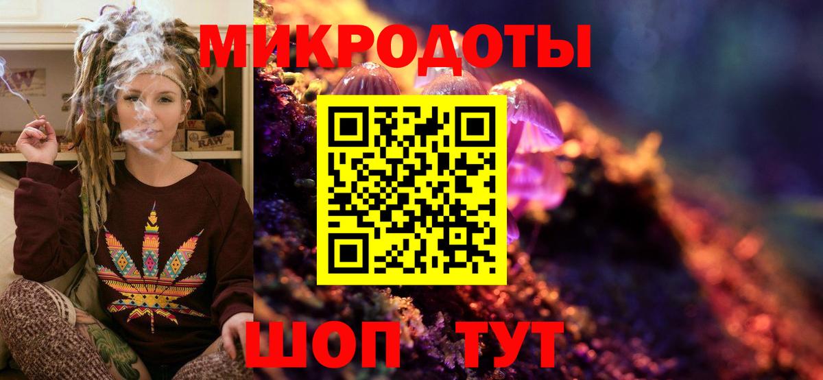 Псилоцибиновые грибы Cubensis Отрадный