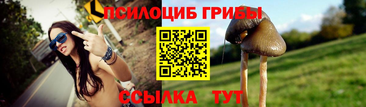 Псилоцибиновые грибы GOLDEN TEACHER  Вход с VPN  Отрадный 