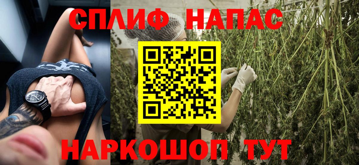 Каннабис White Widow Отрадный